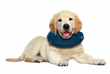 VET-AIRCOLLAR-S